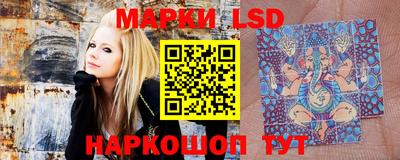 мяу мяу мука Жуковский