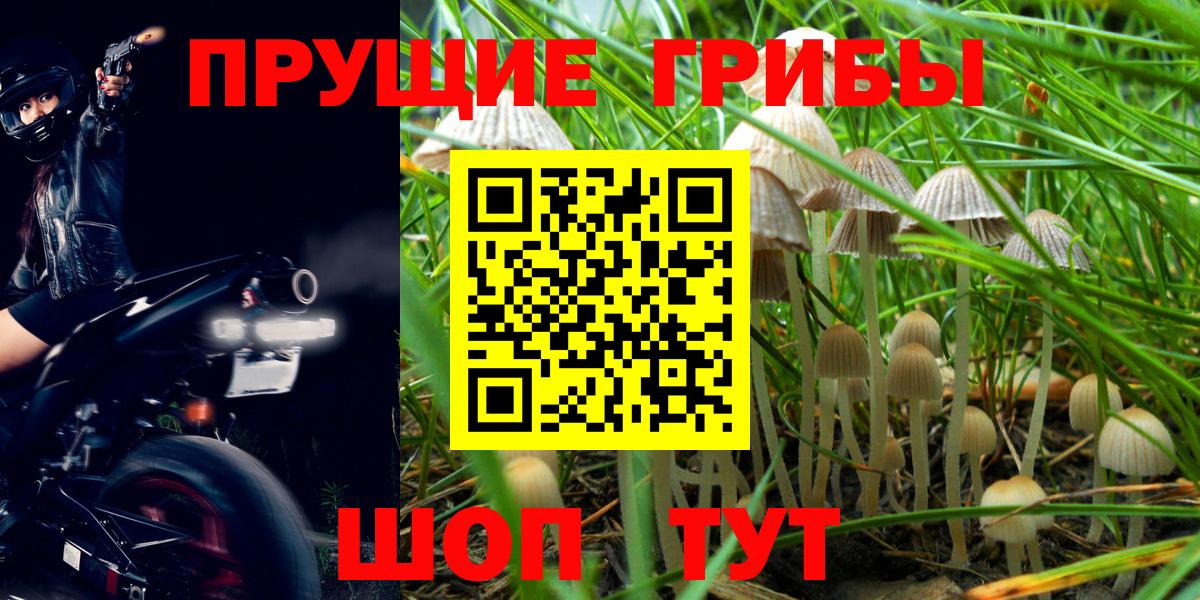 Галлюциногенные грибы Magic Shrooms Кимовск