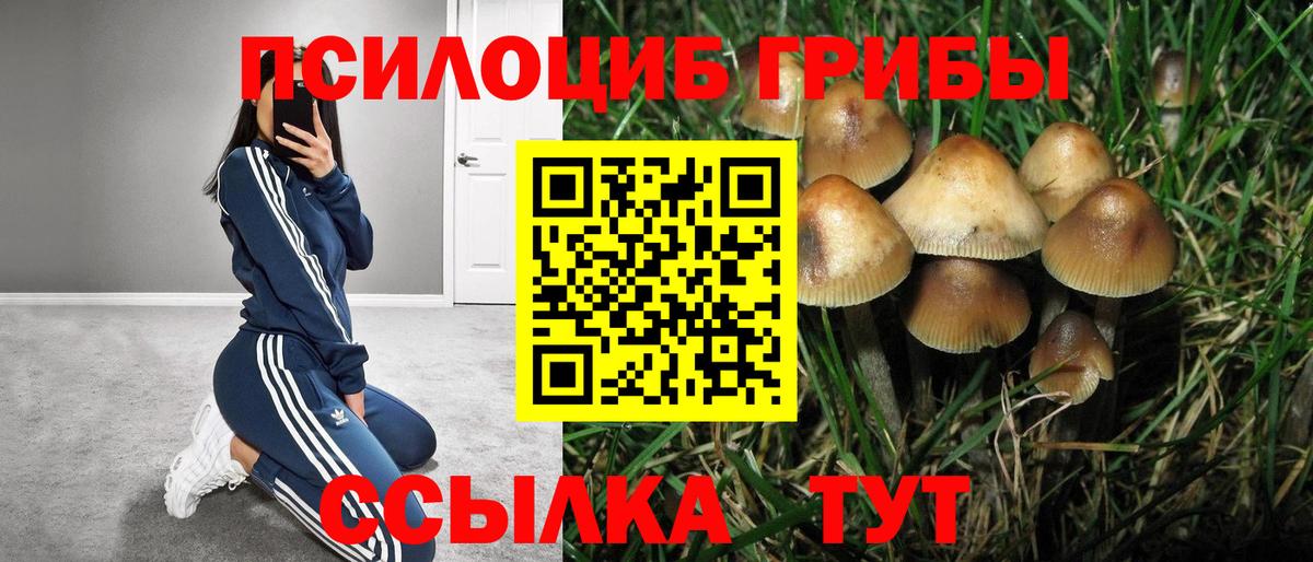 Галлюциногенные грибы прущие грибы  Вход с VPN  Галлюциногенные грибы Psilocybe  Кимовск 