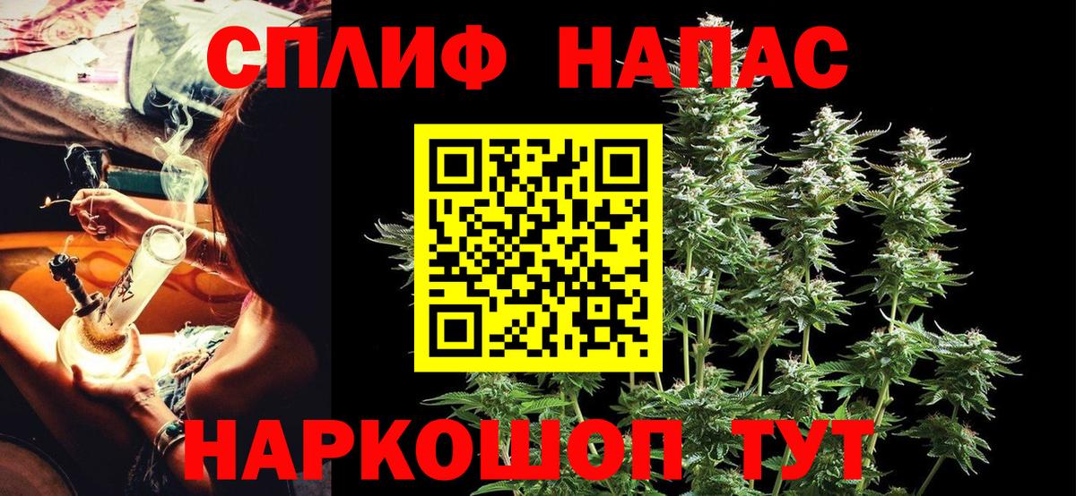 Конопля ГИДРОПОН Кимовск
